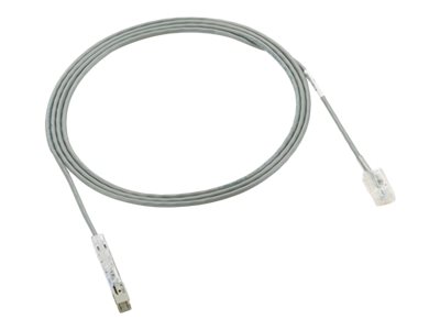 PAN-PUNCH 110 - Patch cable - 110 (M) to RJ-45 (M) - 10 ft - UTP - CAT 3 - stranded - international gray PAN-PUNCH 110 - Patch cable - 110 (M) to RJ-45 (M) - 10 ft - UTP - CAT 3 - stranded - international gray