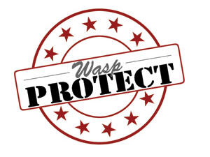 Protect - Extended service agreement - parts and labor - 2 years - repair time: 48 hours - for WaspNest WCS3900 CCD Barcode Scanner Suite - PS2 Wasp WCS3900 WCS3905 CCD Scanner Protect - Extended service agreement - parts and labor - 2 years - repair time: 48 hours - for WaspNest WCS3900 CCD Barcode Scanner Suite - PS2 Wasp WCS3900 WCS3905 CCD Scanner