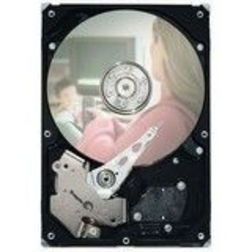 250GB SATA 7.2K RPM 8MB 3.5IN