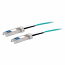 Fiber Optic Network Cable - Fiber Optic for Network Device - 32.81 ft - 1 x SFP+ Network - 1 x SFP+ Network